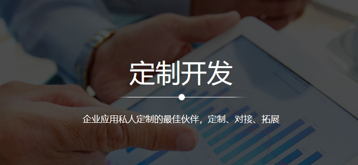 定制開發,crm表單定制,crm定制,crm開發